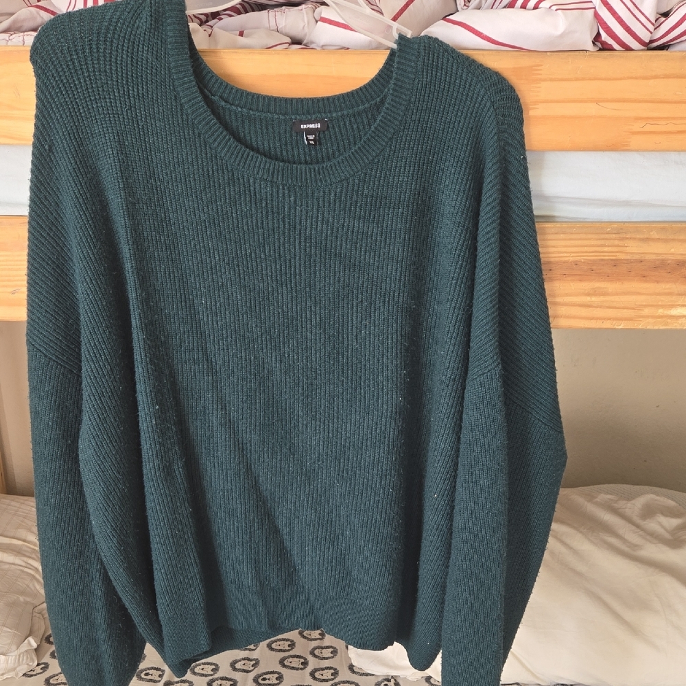 Express Dark Teal Knit Sweater